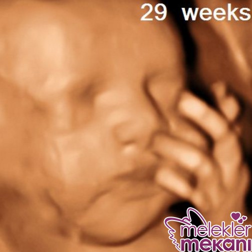 29 haftalik bebek 3d ultrason.jpg