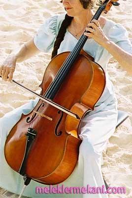 cello-2057.jpg