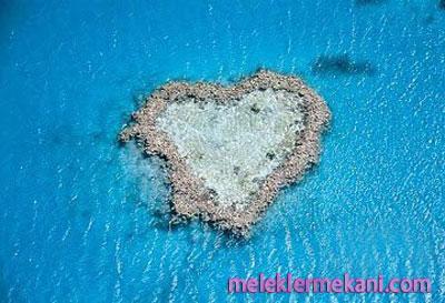 heart20reef20australiazk5-6418.jpg