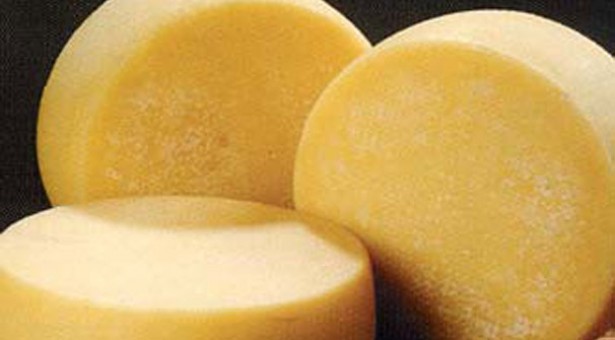 peynir-391.jpg