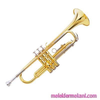 trompet-6813.jpg