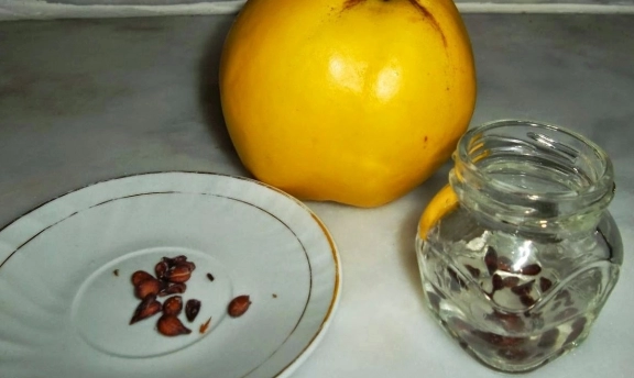 Ayva Çekirdeği Jeli İle Capcanlı Cilde Sahip Olun
